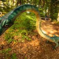 Dinoparc Rasnov