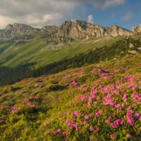 Parcul Natural Bucegi