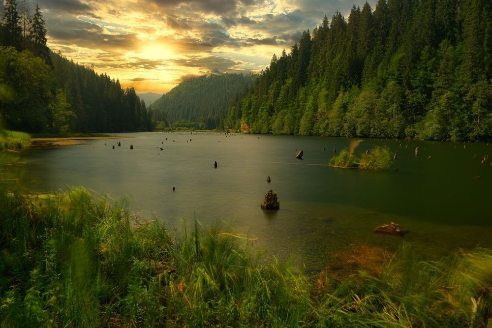 HARGHITA-COVASNA